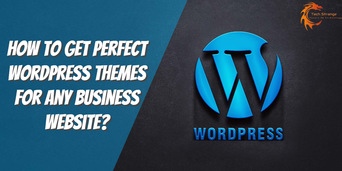 How To Get Perfect WordPress Themes For Any Business Website