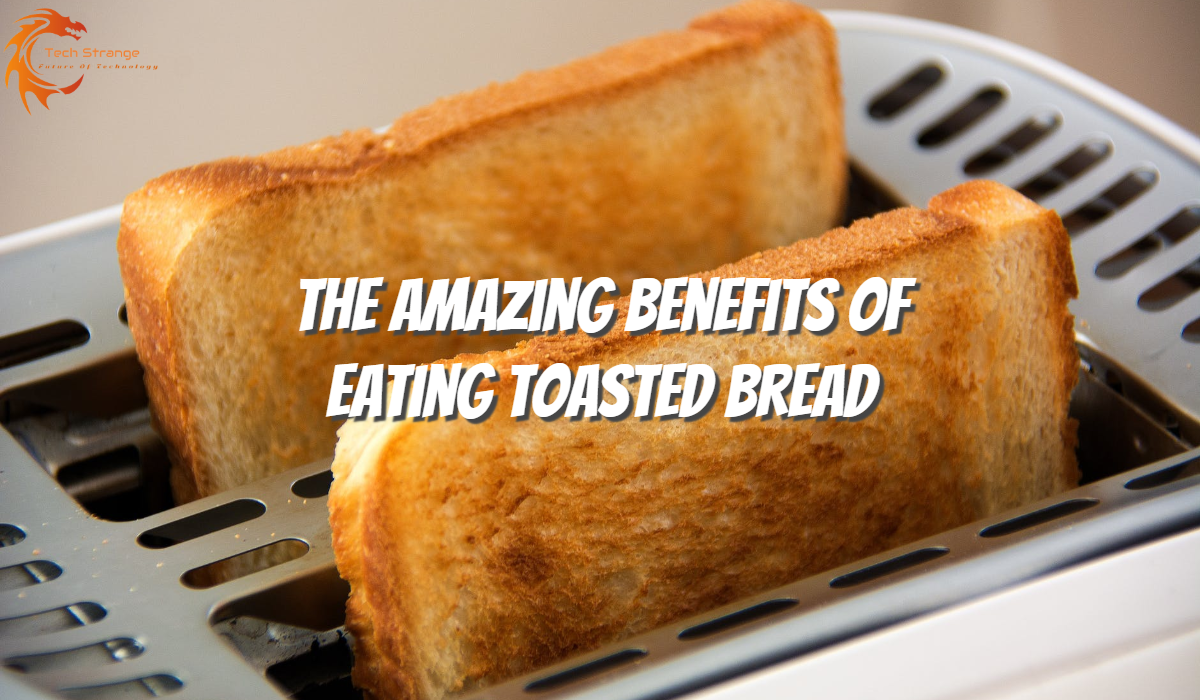 The Amazing Benefits of Eating Toasted Bread - Tech Strange
