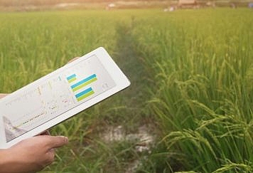Uses of Big Data in Agriculture 