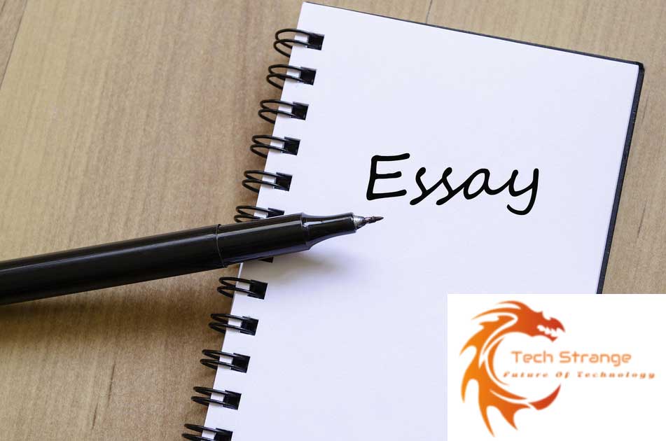 Essay-Writing-Ideas