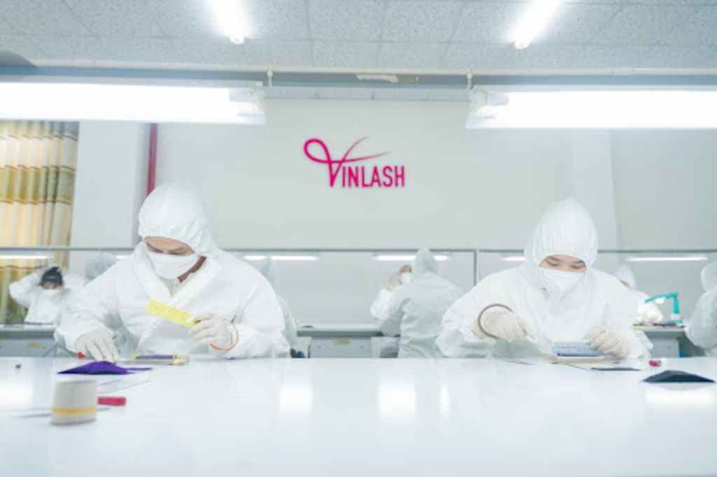 vinlash intro