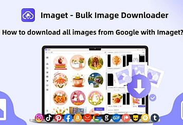 How To Download All Images From Google